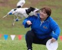 Attention, chien m�chant