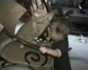 Un bébé se prend des baffes par un chat