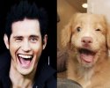 Chien qui sourie