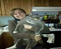 Un �norme chat !