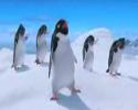 Une bande de pingouins qui chante