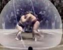 Combat de sumo façon Dragon Ball Z