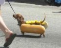 Un Hot-Dog