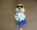 Compilation de chiens compl�tement barr�s!