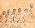 L'évolution de l'homme depuis la préhistoire