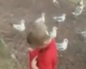 Un enfant se fait chier dessus par des mouettes