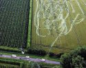 Course poursuite dans un champ