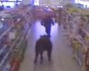 Une vache dans un supermarché