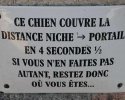 Attention chien rapide