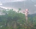 Remi Gaillard se prend pour Tarzan