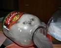 Chat enfermé dans un bocal !
