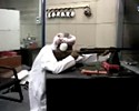 Le tir le plus puissant au fusil :)