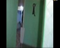 Un chat spiderman !