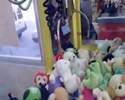 Comment attraper les peluches !
