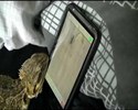 Le lézard et le Smartphone