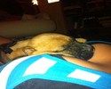 Une position confortable