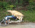 Petite pause à vélo