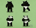 La vÃ©ritÃ© sur le Panda ! 