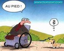 Ce chien ne comprend rien !