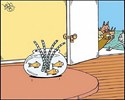 Un bon repas pour chat