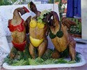 Belles poulettes en bikini !