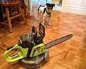 Un robot aspirateur dangereux !