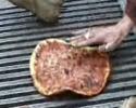 Pizza 12 : livraison de pizzas 50% moins cher !