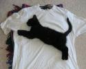 Fabrique toi même ton tshirt Puma