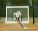 Une fille qui passe dans un panier de basket (fake)