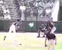 Base Ball: il lance la balle et shoot un oiseau