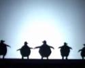 Ombres chinoises par la troupe Pilobolus aux oscars 2007