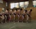 parodie sumo chanson Les sumos nous font l'honneur de danser