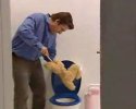 parodie pub chien caniche WC Après canard WC, voici caniche WC !