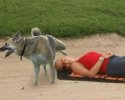 Un chien va lui pisser dessus